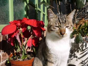 1358070101-2748654788 Shanghai-窩 上海最火咖啡廳