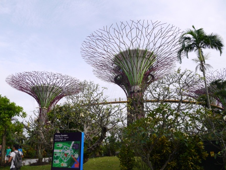 1358437435-2928021012 Singapore-Gardens By the Bay濱海灣植物園