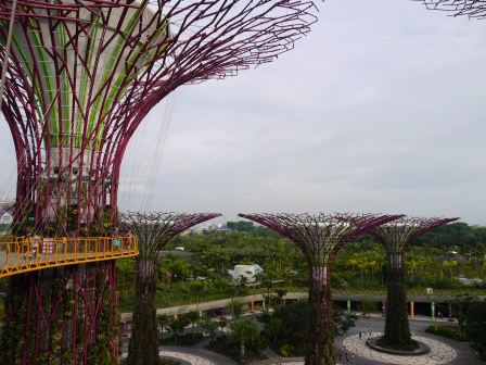 1358437441-1622037626 Singapore-Gardens By the Bay濱海灣植物園