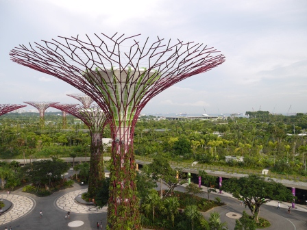 1358437445-825839309 Singapore-Gardens By the Bay濱海灣植物園