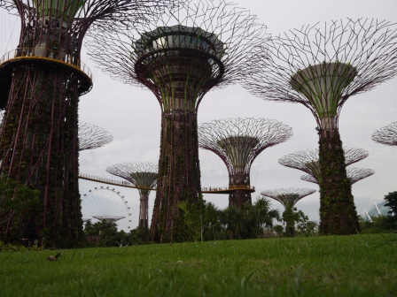 1358437449-1573478779 Singapore-Gardens By the Bay濱海灣植物園