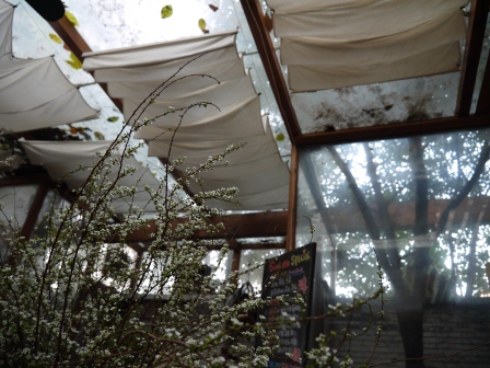 1362014995-3010050467 Shanghai-人氣咖啡館 小小花園