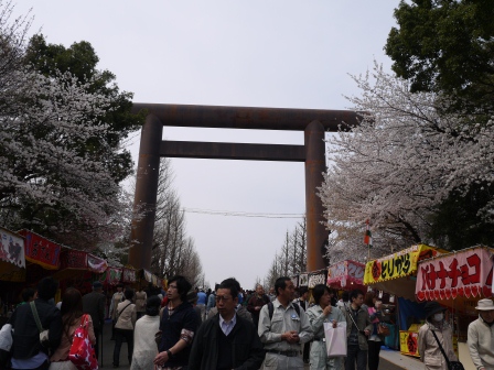 1364222633-3960063599 Kudanshita-櫻花祭始於靖國神社櫻花標本木(2013お花見之一)