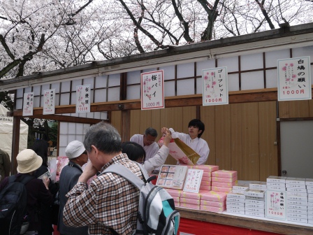 1364222655-2337647278 Kudanshita-櫻花祭始於靖國神社櫻花標本木(2013お花見之一)