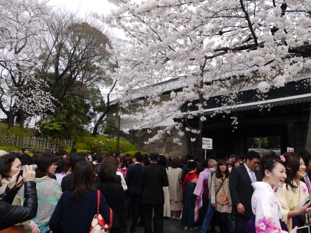 1364265319-1193931933 Kudanshita-千鳥ケ淵緑道櫻花祭 給學子最美麗的祝福(2013お花見之二)
