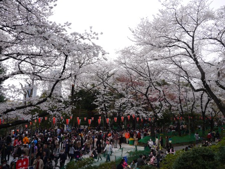 1364566748-3571450779 Ueno-沉醉在上野公園 滿開的櫻花繽紛 無法計畫的祭典(2013お花見之三)