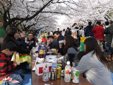 1364566750-395458339 Ueno-沉醉在上野公園 滿開的櫻花繽紛 無法計畫的祭典(2013お花見之三)