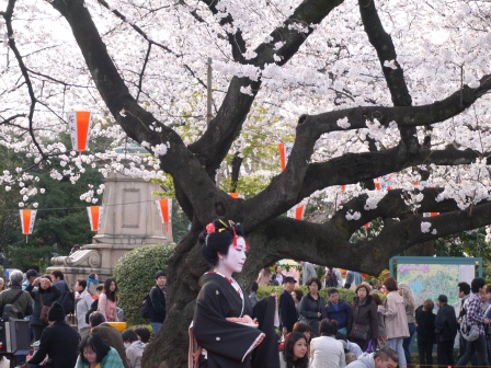 1364566764-3540674039 Ueno-沉醉在上野公園 滿開的櫻花繽紛 無法計畫的祭典(2013お花見之三)