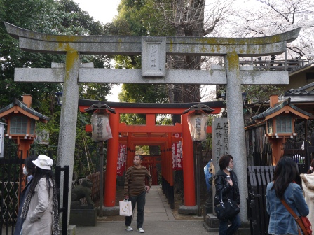 1364566784-362251568 Ueno-沉醉在上野公園 滿開的櫻花繽紛 無法計畫的祭典(2013お花見之三)