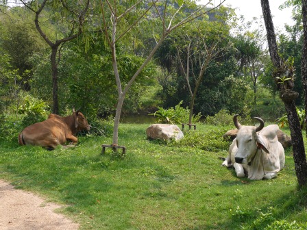 1364626790-1676251827 Bangkok-一次看完泰國歷史Ancient Siam古城