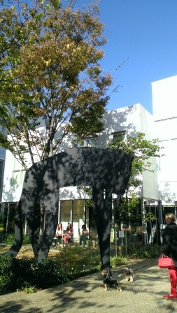 1383971830-354721687 Daiganyama-書店怎麼可以這麼美 代官山的蔦屋書店