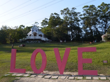 1384598344-2529002429 芎林-心鮮森林 總覺得少了點什麼的鄉村風庭園