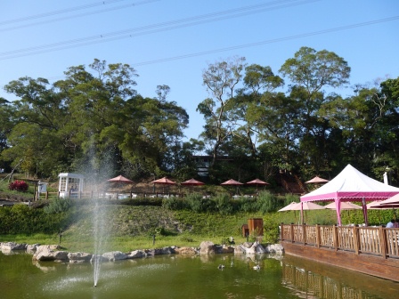 1384598349-3550637457 芎林-心鮮森林 總覺得少了點什麼的鄉村風庭園