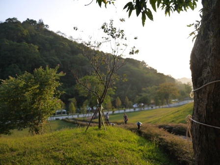 1384598363-2758520299 芎林-心鮮森林 總覺得少了點什麼的鄉村風庭園