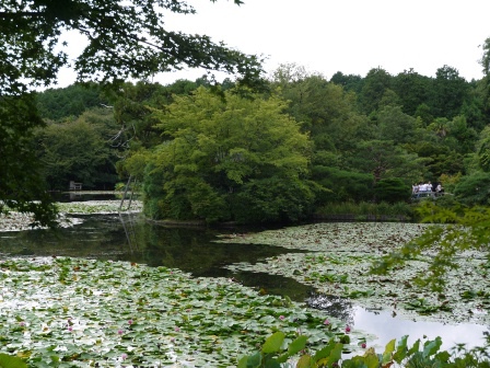1386505869-3893632152 Kyoto-龍安寺 枯山水 巧妙的15顆石頭排列 永遠只看到14顆