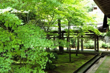 1386505884-1456490983 Kyoto-龍安寺 枯山水 巧妙的15顆石頭排列 永遠只看到14顆