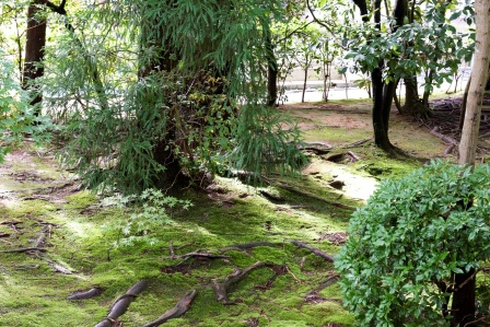 1386505906-1769667006 Kyoto-龍安寺 枯山水 巧妙的15顆石頭排列 永遠只看到14顆