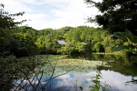 1386505930-238798774 Kyoto-龍安寺 枯山水 巧妙的15顆石頭排列 永遠只看到14顆