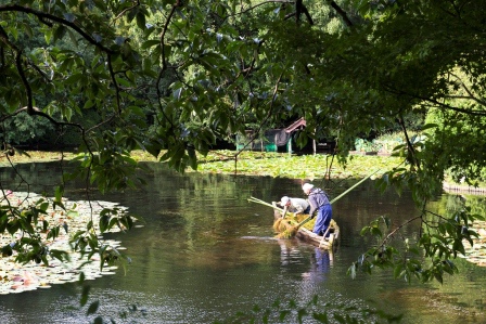 1386505933-3148294698 Kyoto-龍安寺 枯山水 巧妙的15顆石頭排列 永遠只看到14顆