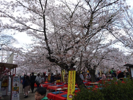 1397654755-879736361 Kyoto-八坂神社&円山公園 有點亂的櫻花園區