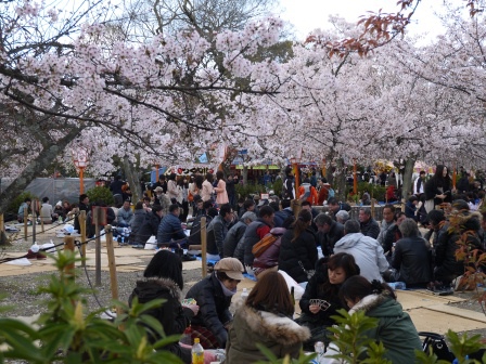 1397654761-1855036514 Kyoto-八坂神社&円山公園 有點亂的櫻花園區
