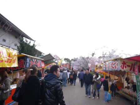 1397654764-1765765015 Kyoto-八坂神社&円山公園 有點亂的櫻花園區
