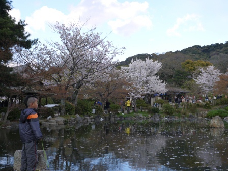 1397654768-2427763341 Kyoto-八坂神社&円山公園 有點亂的櫻花園區
