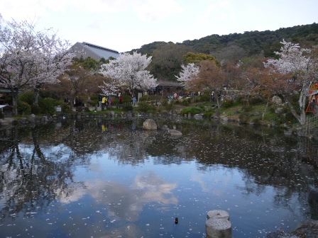 1397654770-773865700 Kyoto-八坂神社&円山公園 有點亂的櫻花園區