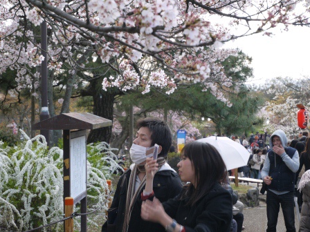 1397654772-1498842884 Kyoto-八坂神社&円山公園 有點亂的櫻花園區