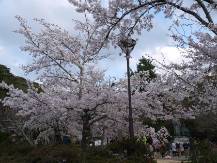 1397654775-1533088016 Kyoto-八坂神社&円山公園 有點亂的櫻花園區