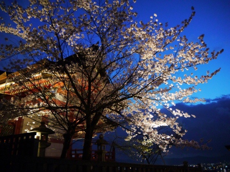 1399786471-2690135249 Kyoto-清水寺賞夜櫻 另種櫻花美