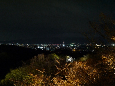 1399786479-1550314387 Kyoto-清水寺賞夜櫻 另種櫻花美