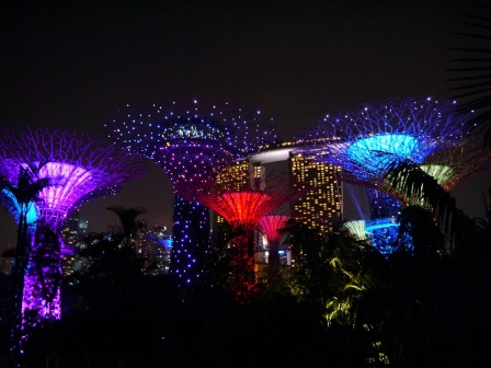 1399857309-3162727774 Singapore-Gardens by the Bay越夜越美麗
