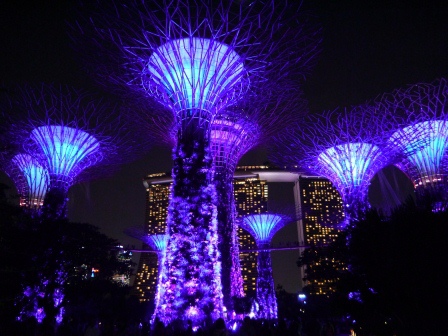 1399857311-596417569 Singapore-Gardens by the Bay越夜越美麗