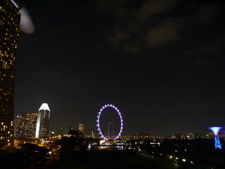 1399857316-1574988529 Singapore-Gardens by the Bay越夜越美麗