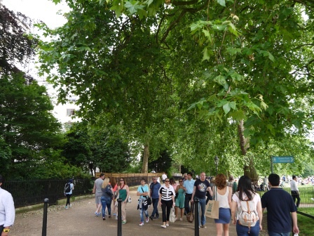 1402934375-1271674089 London-美麗的Green Park放空 走著走著白金漢宮就到了啊