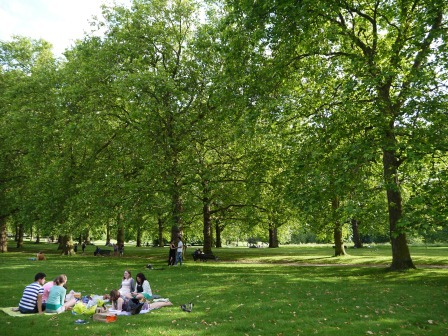 1402934380-141776266 London-美麗的Green Park放空 走著走著白金漢宮就到了啊