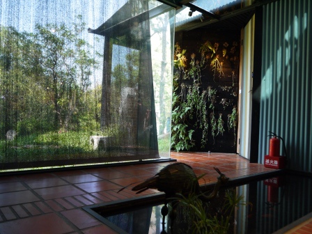 1412773876-4228459380 新竹-喜歡一個人喜歡一個Buono Bella 偶像劇拍攝餐廳