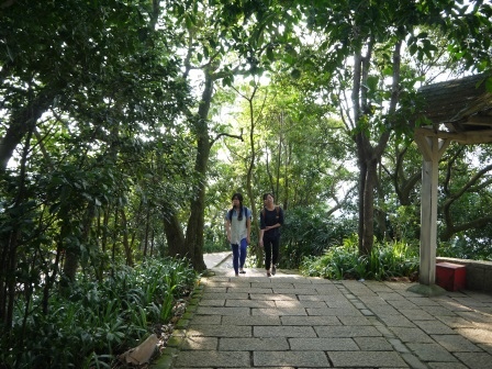 1413642516-906376976 信義-象山步道 運動兼賞101