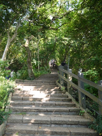 1413642646-3742422031 信義-象山步道 運動兼賞101