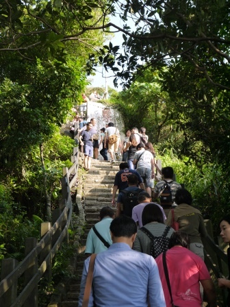 1413642729-591463020 信義-象山步道 運動兼賞101