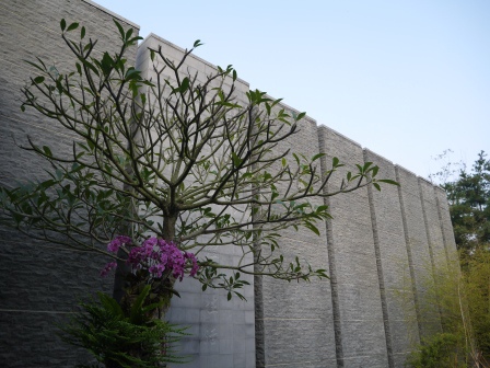 1415536305-2414284893 日月潭-日月潭畔最悠閒的早餐 在涵碧樓享受早餐佐無敵湖景(魚池)