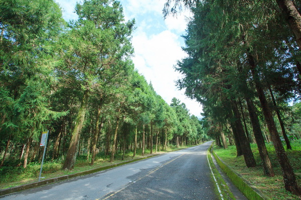 惠蓀林場0101 惠蓀林場0101