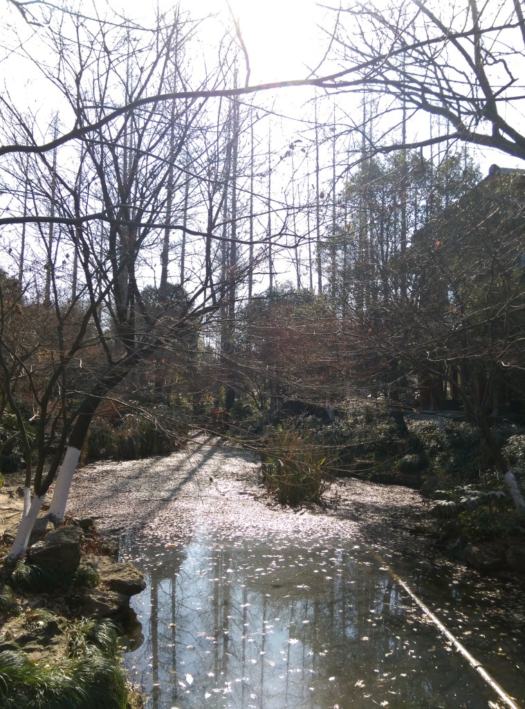 1421249506-675662470 Hangzhou-欲把西湖比西子 濃妝淡抹總相宜