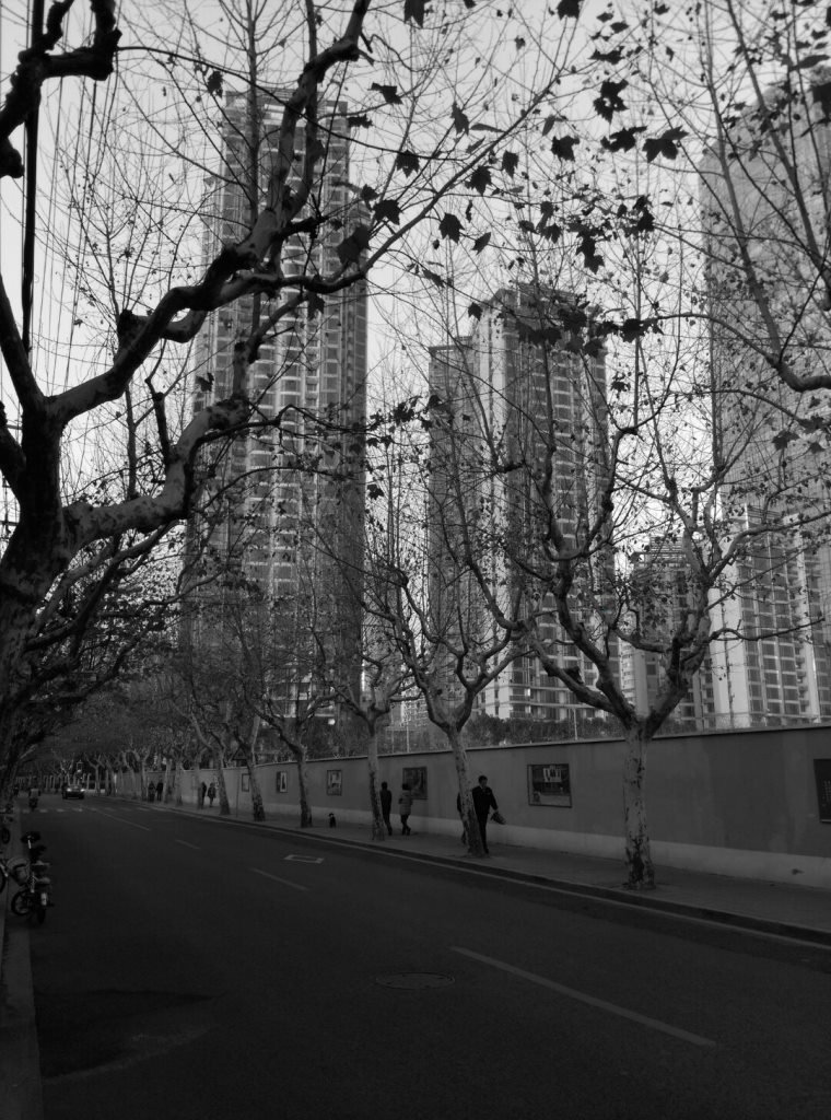 1421570319-2471983075 Shanghai-衡山路 最美的上海最美的梧桐景緻