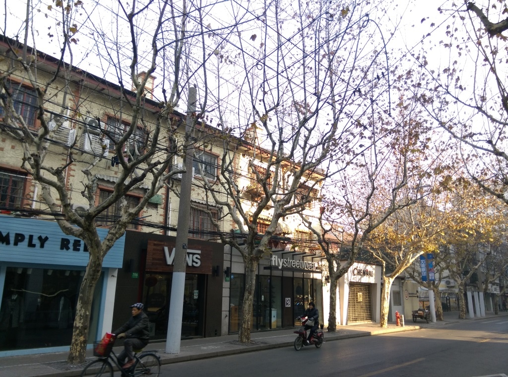 1421570321-3769078146 Shanghai-衡山路 最美的上海最美的梧桐景緻