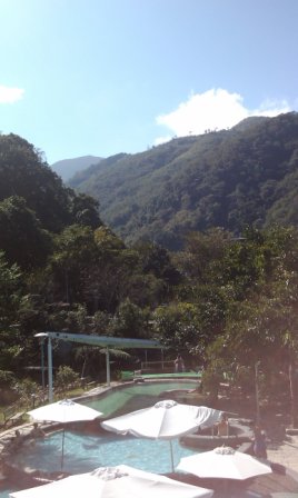 IMAG0499.jpg IMAG0499.jpg