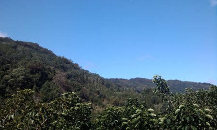 IMAG0500.jpg IMAG0500.jpg