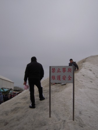 七股17.JPG 七股17.JPG