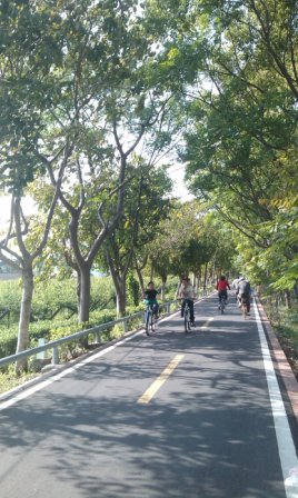 東豐 14.jpg 東豐 14.jpg